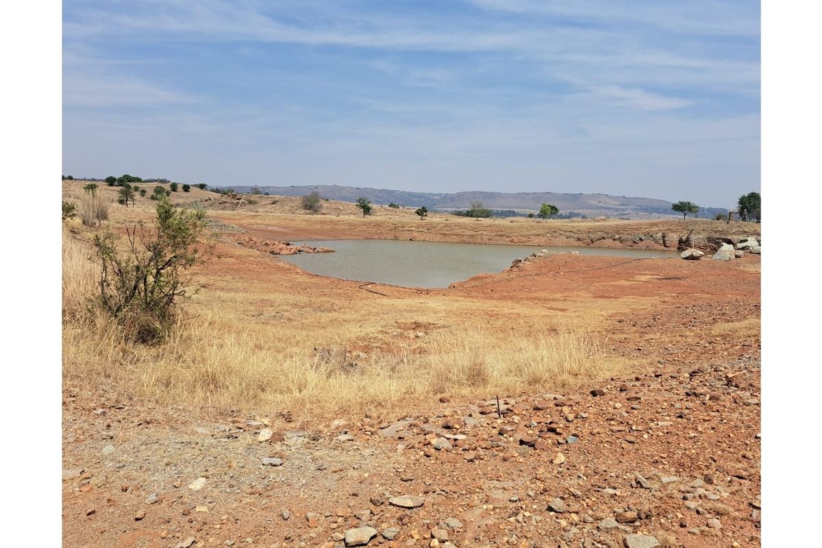 For Sale Vacant Land in Exclusive Letamo Game Farm - Cradle of Humankind situated near Krugersdorp - Photo 3