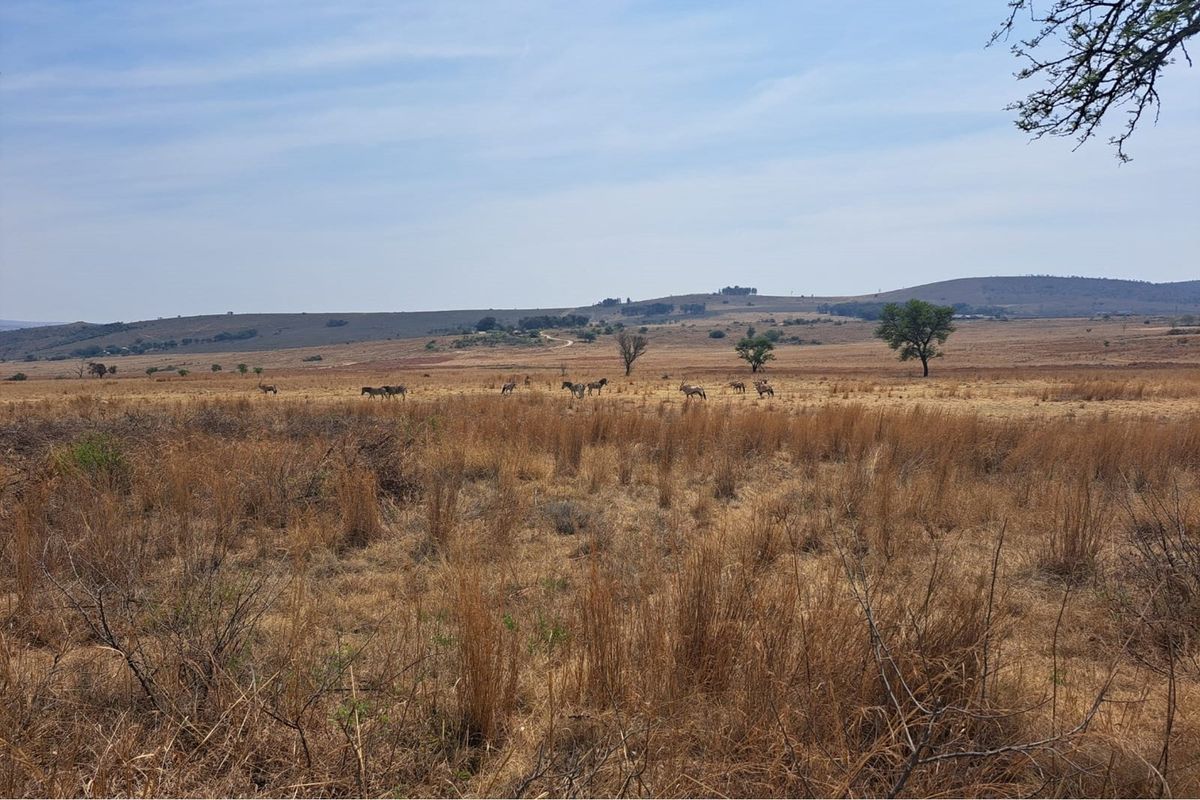 For Sale Vacant Land in Exclusive Letamo Game Farm - Cradle of Humankind situated near Krugersdorp - Photo 4