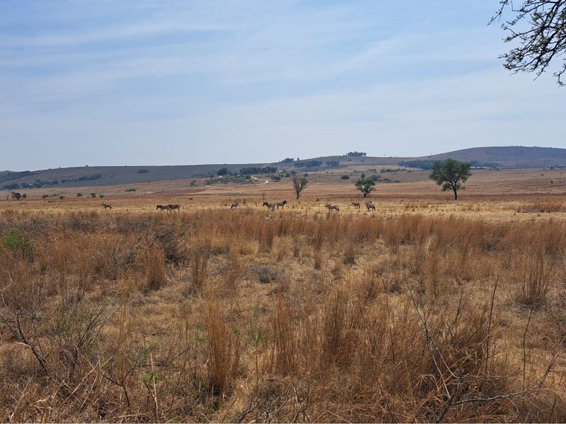 A wide-angle view of expansive, undeveloped natural grassland and rolling hills, showcasing the open landscape of the vacant residential property.