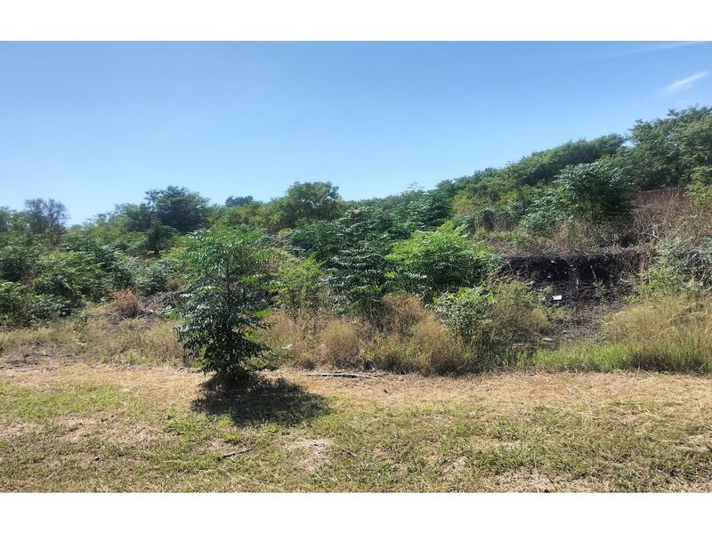 Transform this vacant land into your dream home! - Photo 10