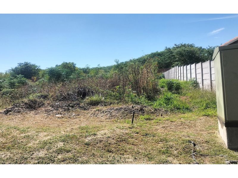 Transform this vacant land into your dream home! - Photo 8