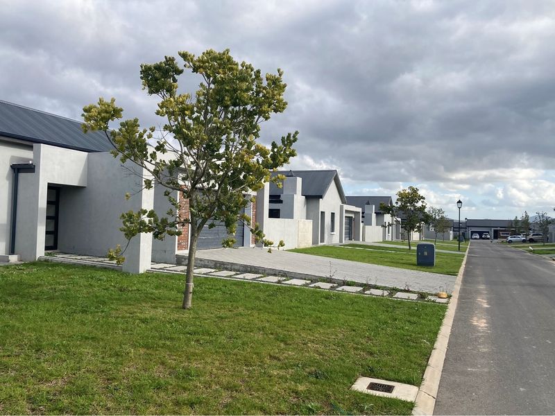 Modern Turnkey Home in Scenic Paarl South - Photo 8