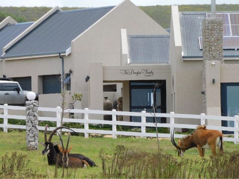 Twin Valley Nature Estate: A Paradise for Horse Lovers - Photo 10