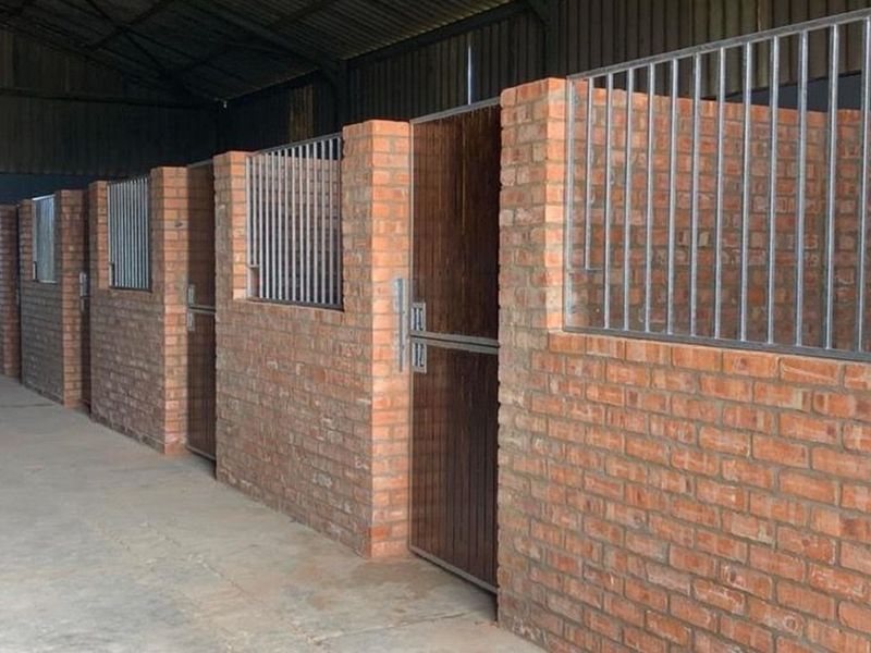 Twin Valley Nature Estate: A Paradise for Horse Lovers - Photo 8