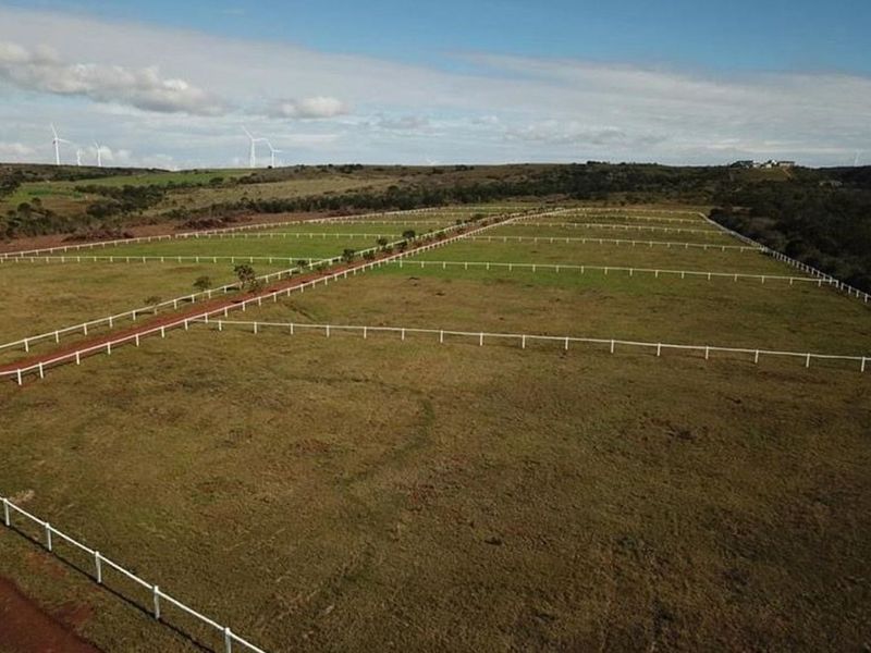 Twin Valley Nature Estate: A Paradise for Horse Lovers - Photo 5