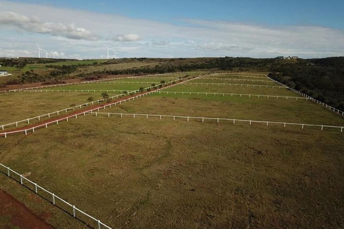 Twin Valley Nature Estate: A Paradise for Horse Lovers - Photo 5