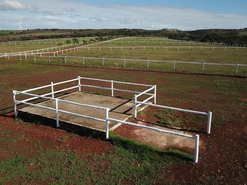 Twin Valley Nature Estate: A Paradise for Horse Lovers - Photo 7