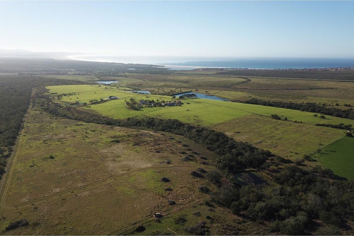 Twin Valley Nature Estate: A Paradise for Horse Lovers - Photo 3