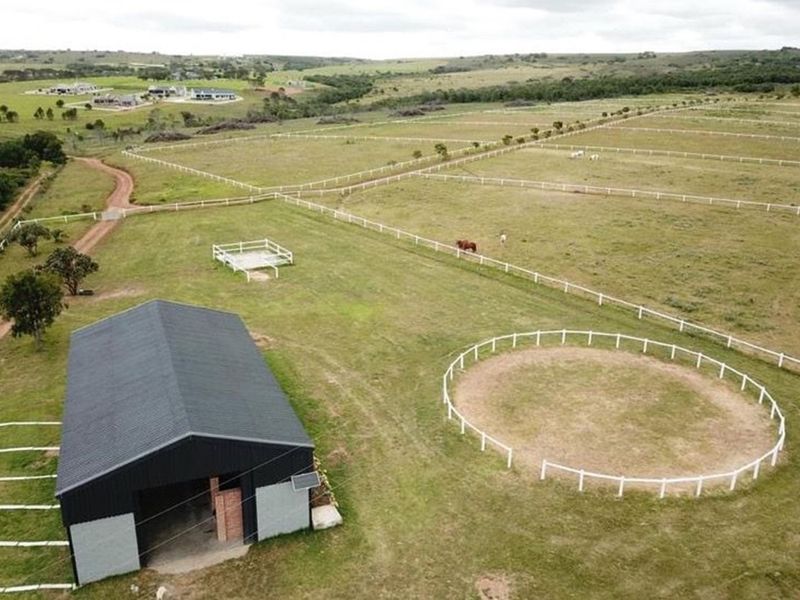 Twin Valley Nature Estate: A Paradise for Horse Lovers - Photo 2