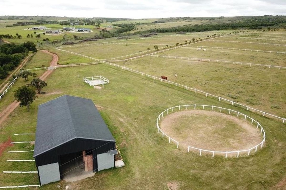 Twin Valley Nature Estate: A Paradise for Horse Lovers - Photo 2