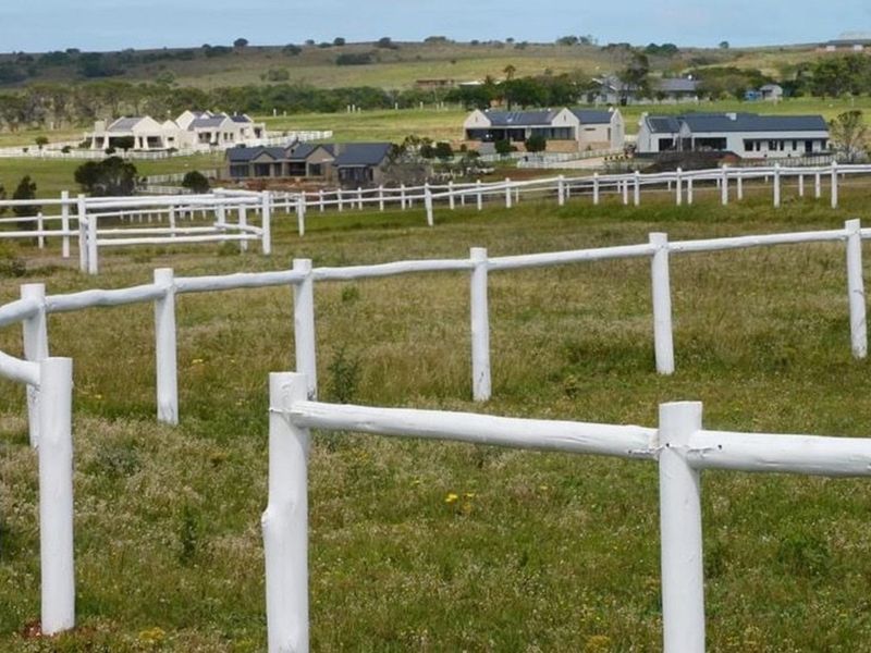 Twin Valley Nature Estate: A Paradise for Horse Lovers - Photo 4