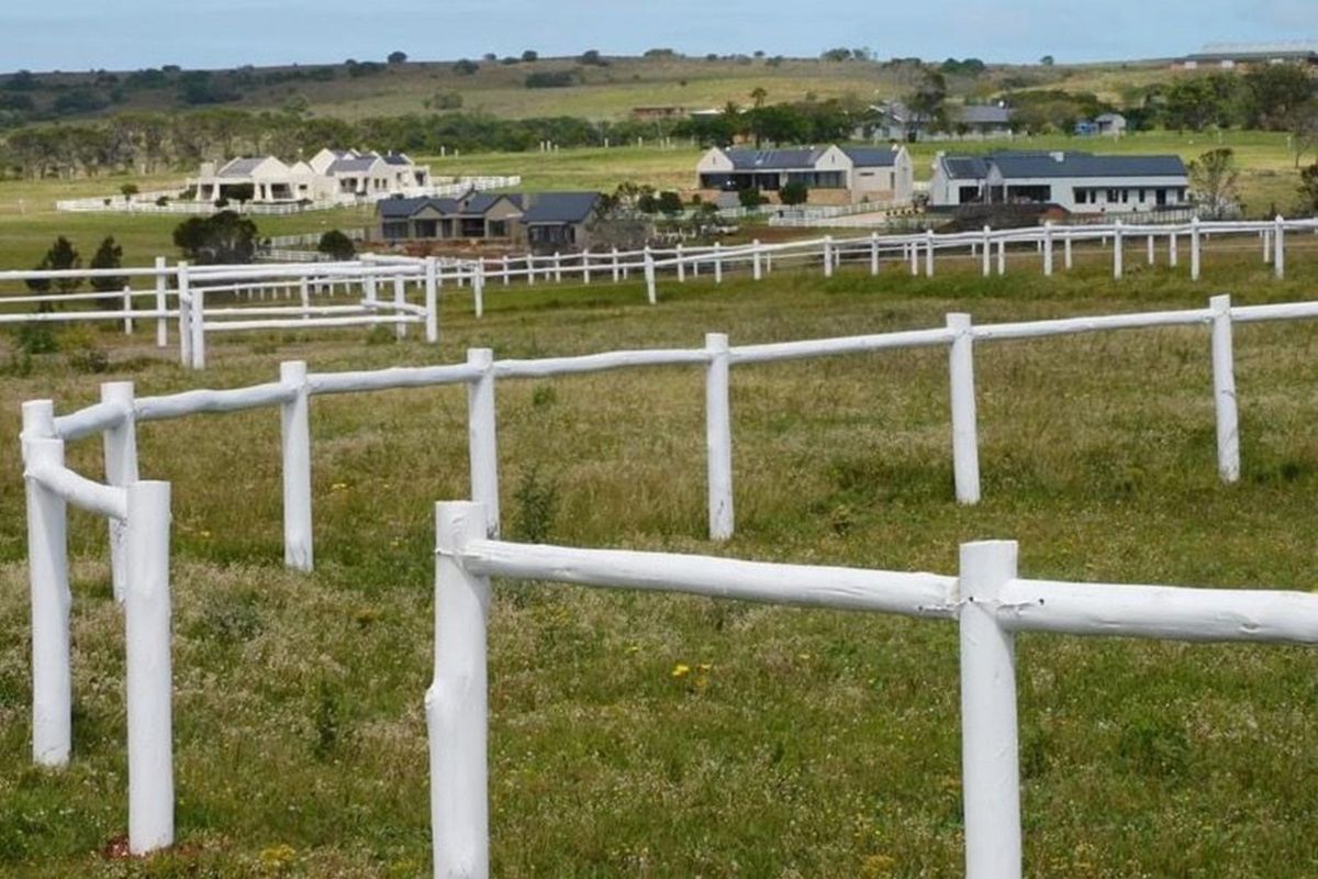 Twin Valley Nature Estate: A Paradise for Horse Lovers - Photo 4