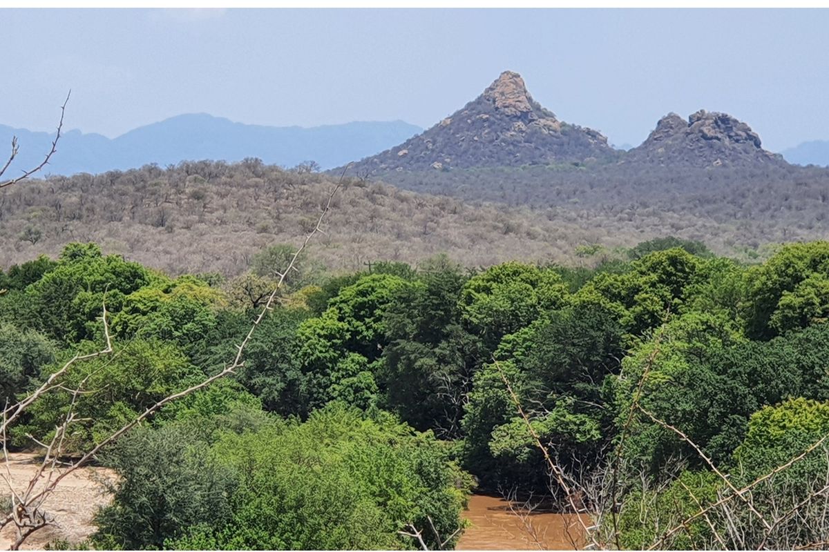 A scenic landscape view featuring lush green vegetation, a river, and prominent rocky mountain peaks in the distance.