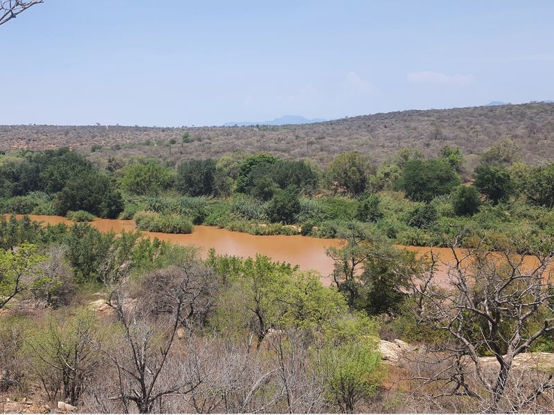 A scenic view of a natural river flowing through a landscape with native trees and shrubs.