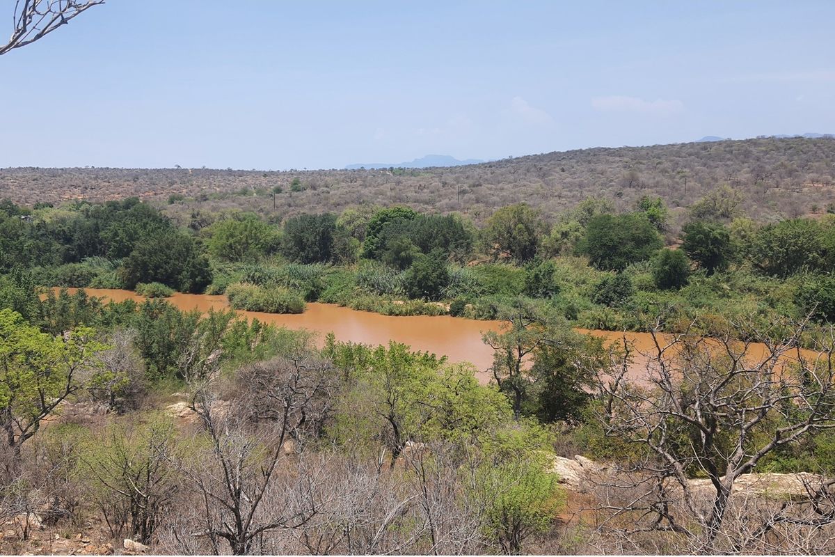 A scenic view of a natural river flowing through a landscape with native trees and shrubs.