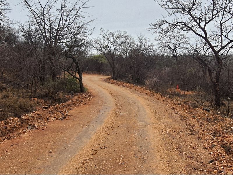 A view of an unpaved access road winding through natural bushveld vegetation on a vacant residential plot.