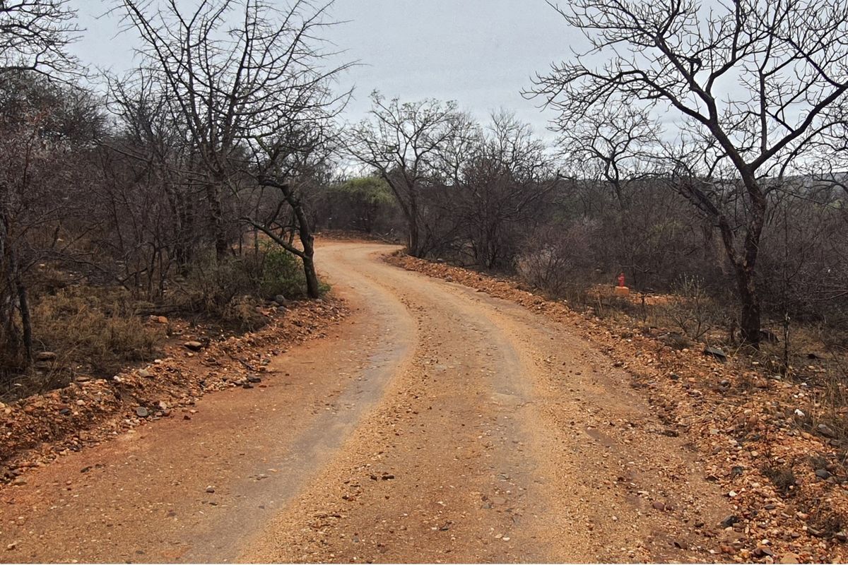 A view of an unpaved access road winding through natural bushveld vegetation on a vacant residential plot.