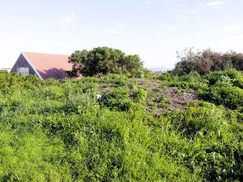 A view of a vacant residential plot covered in natural vegetation and wild grass, with neighboring properties visible in the background.