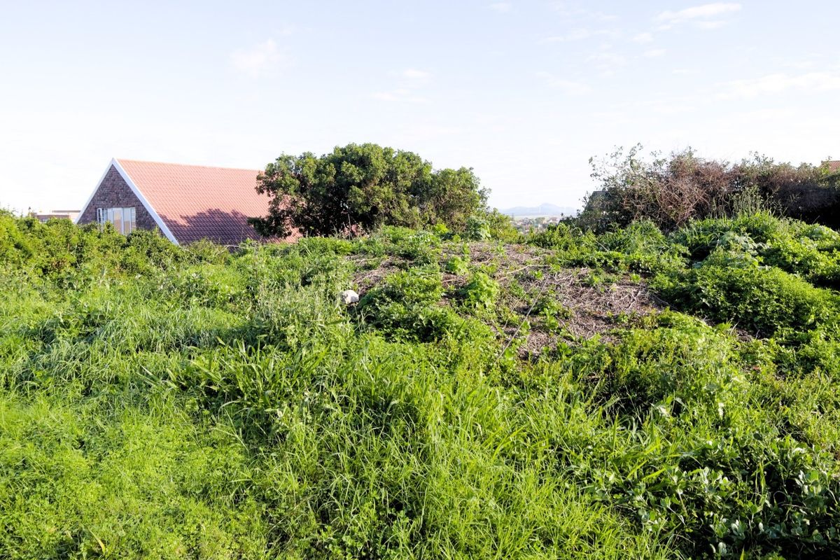 A view of a vacant residential plot covered in natural vegetation and wild grass, with neighboring properties visible in the background.