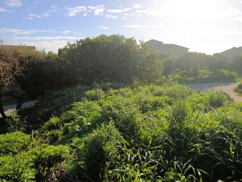 A view of a vacant residential plot featuring natural vegetation and surrounding neighborhood landscape.