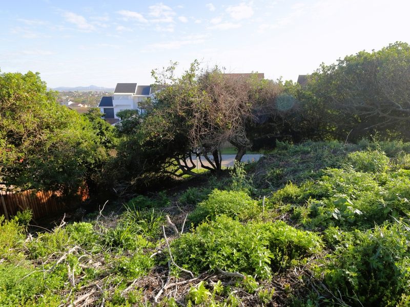 A view of a sloped, undeveloped residential plot featuring dense native vegetation and established trees, with neighboring properties visible in the background.