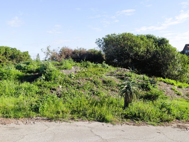 A vacant residential plot featuring sloped terrain with established native vegetation and direct access to an asphalt road.