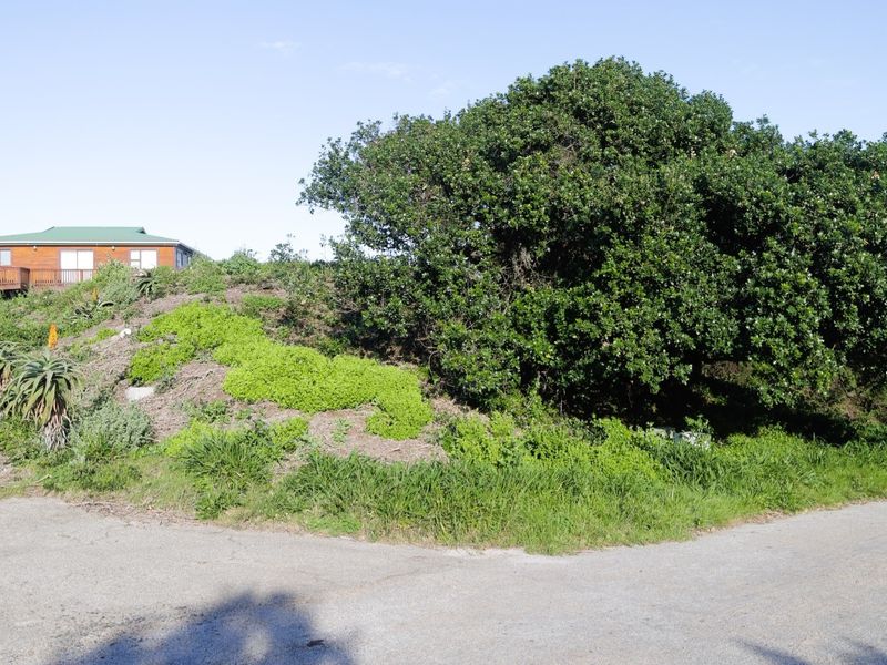 A vacant residential plot featuring sloped terrain, established trees, and direct access to a paved street in a quiet neighborhood setting.