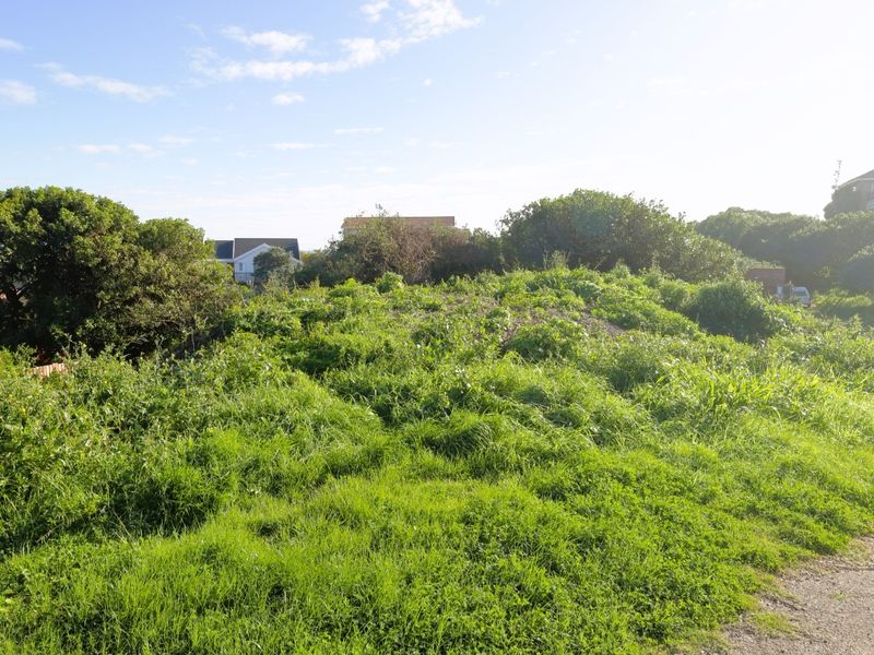 A view of a vacant residential plot covered in natural vegetation, offering potential for future development in a established neighborhood.