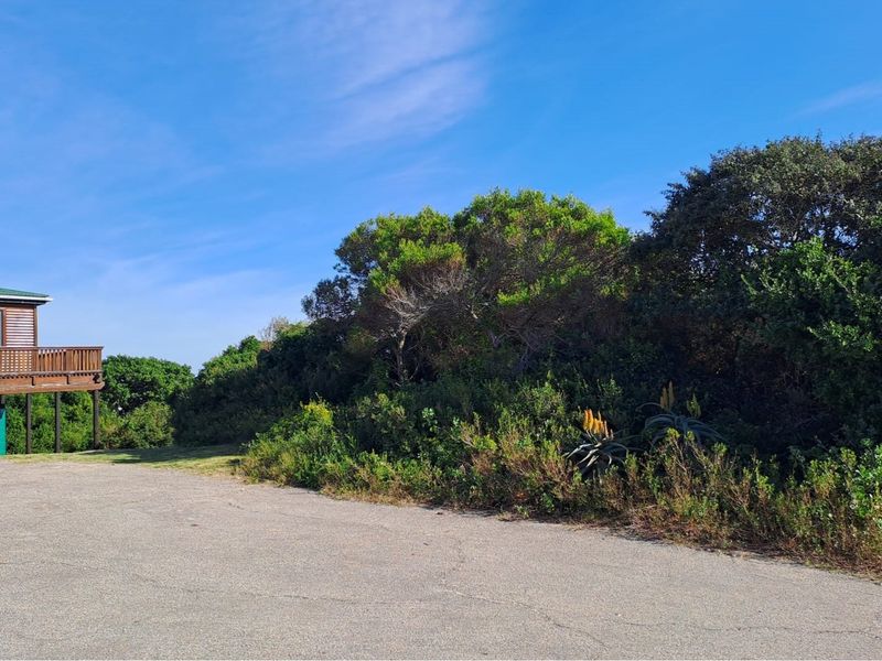 Build Your Dream Home in Aston Bay - Photo 1