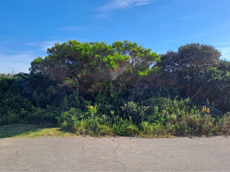 Build Your Dream Home in Aston Bay - Photo 2