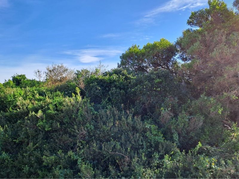 Build Your Dream Home in Aston Bay - Photo 7