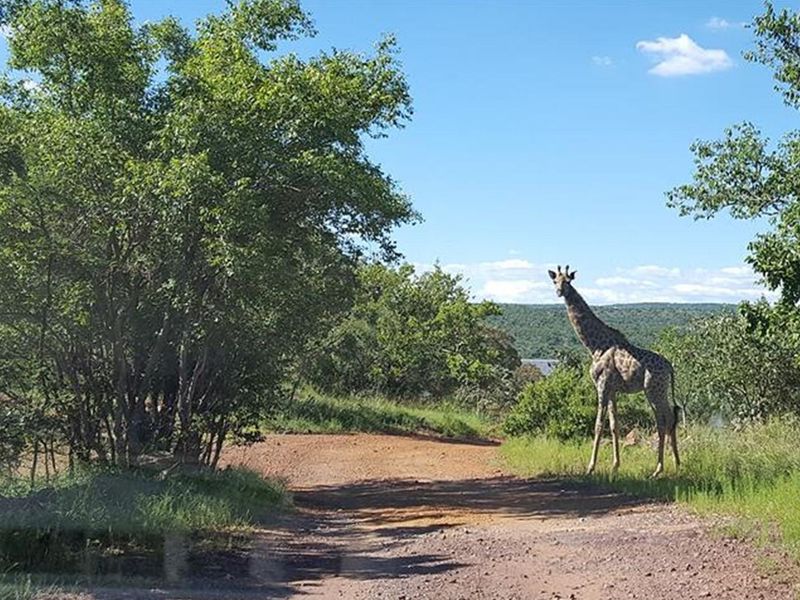 Thaba Moriri - Vacant stand with spectacular mountain  views - Photo 4