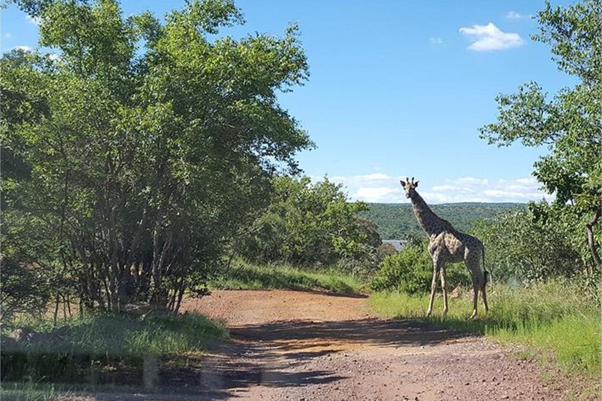Thaba Moriri - Vacant stand with spectacular mountain  views - Photo 4