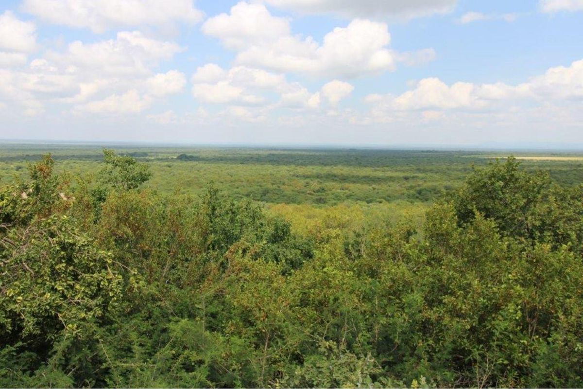 Thaba Moriri - Vacant stand with spectacular mountain  views - Photo 3