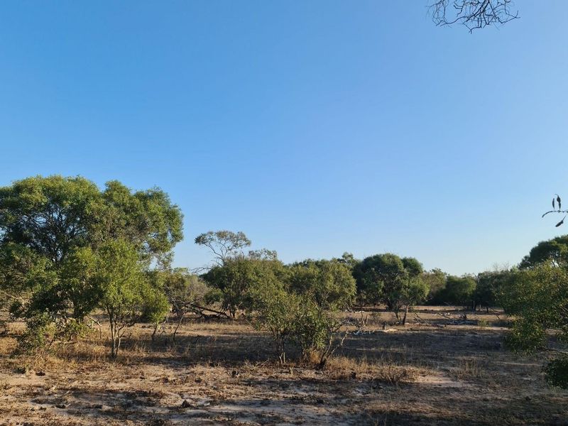 Embrace the Wild: Your Dream Estate Awaits in Moditlo - Photo 2