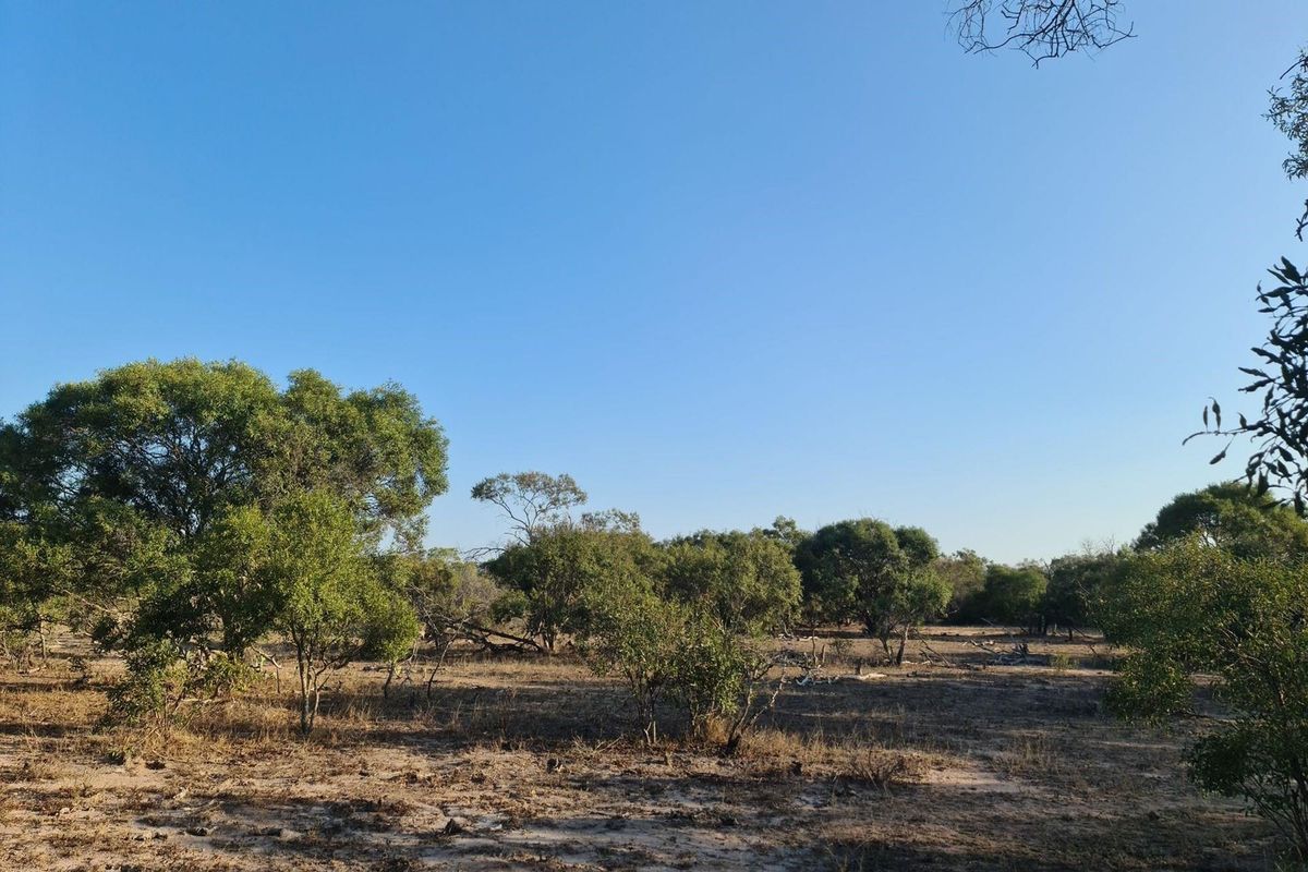 Embrace the Wild: Your Dream Estate Awaits in Moditlo - Photo 2