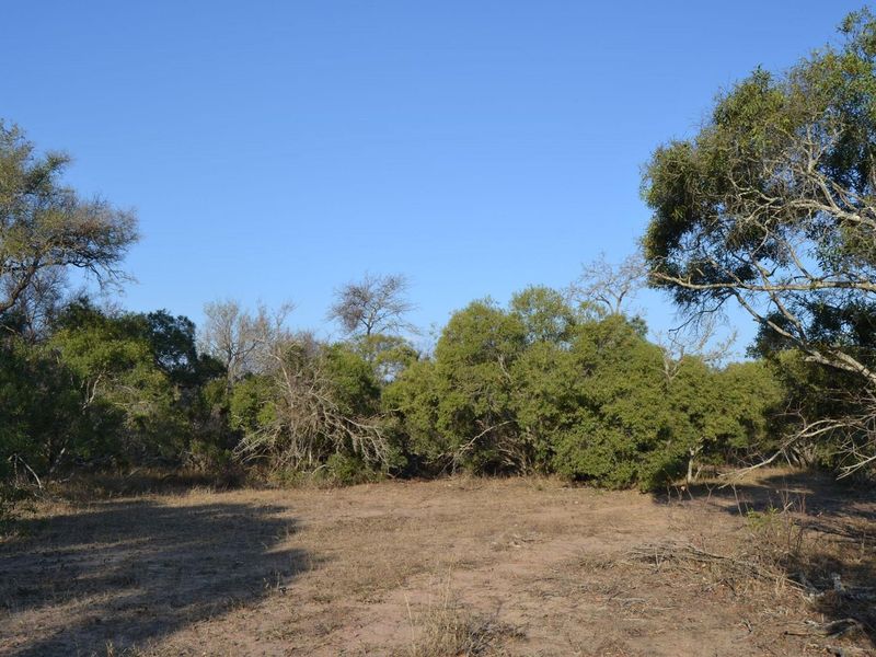 Embrace the Wild: Your Dream Estate Awaits in Moditlo - Photo 5