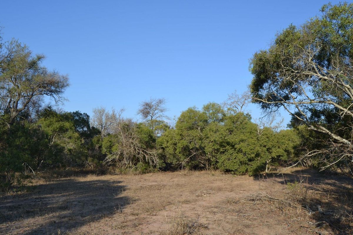 Embrace the Wild: Your Dream Estate Awaits in Moditlo - Photo 5