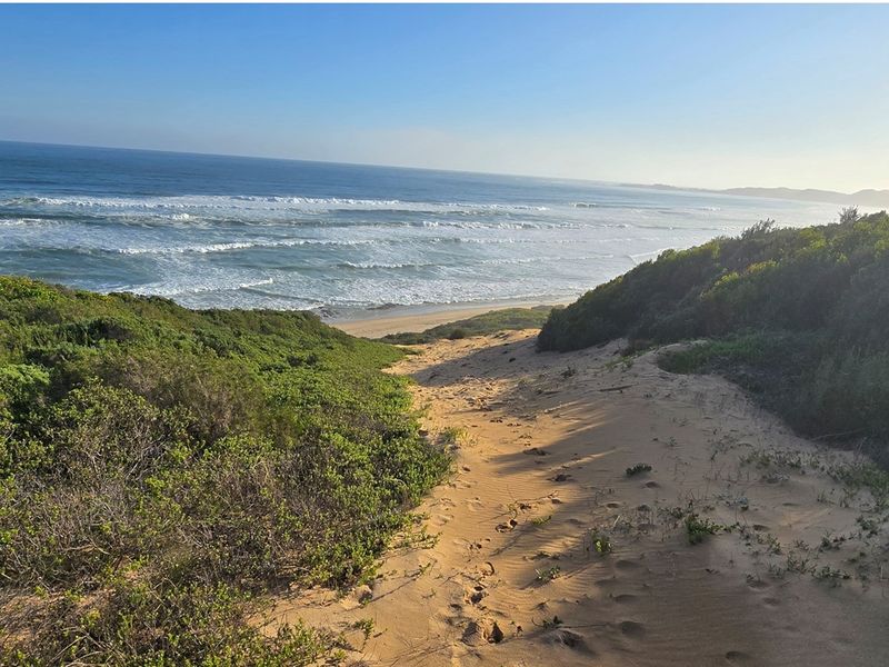 A Rare Coastal Sanctuary in the Western Head Conservancy - Photo 6