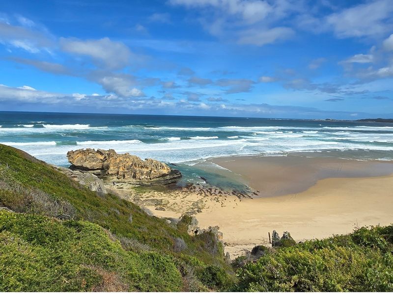 A Rare Coastal Sanctuary in the Western Head Conservancy - Photo 8