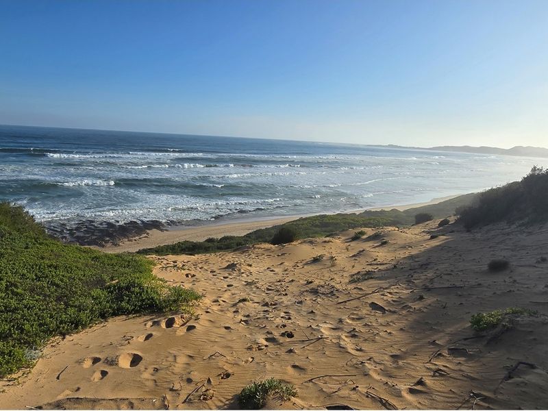 A Rare Coastal Sanctuary in the Western Head Conservancy - Photo 7