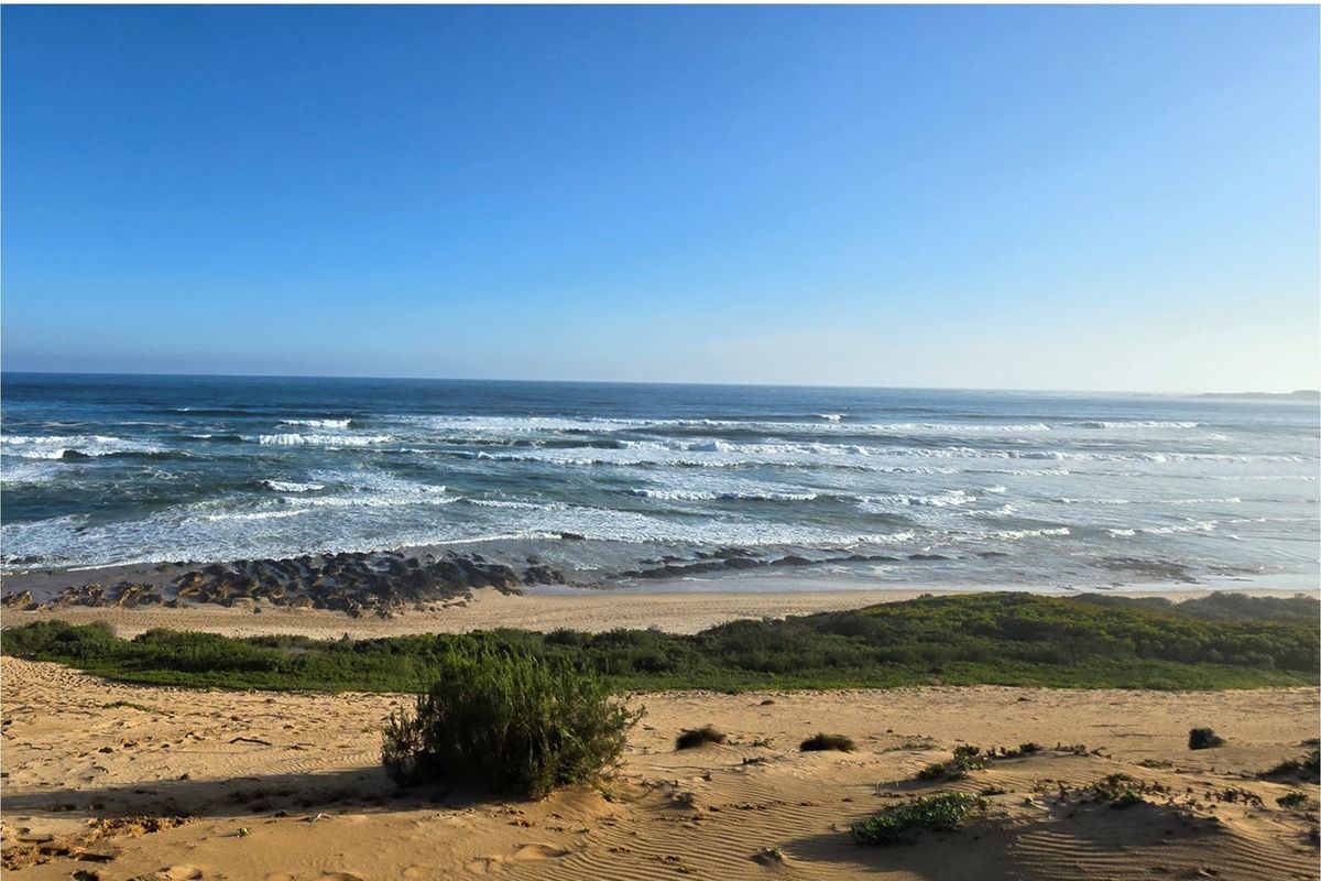 A Rare Coastal Sanctuary in the Western Head Conservancy - Photo 2