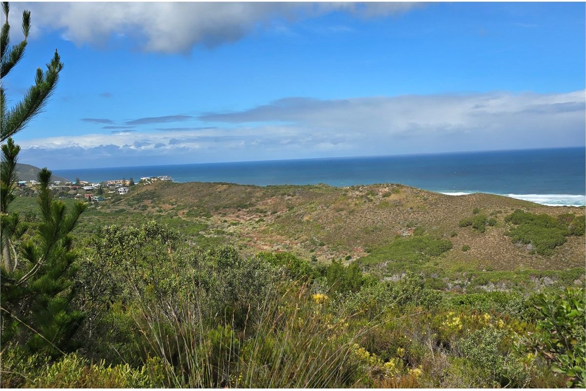 A Rare Coastal Sanctuary in the Western Head Conservancy - Photo 4