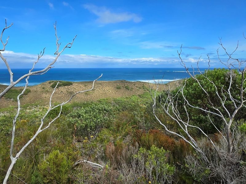 A Rare Coastal Sanctuary in the Western Head Conservancy - Photo 3