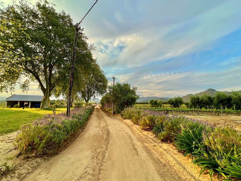 Prime Location With Exceptional Views “Franschhoek Valley” - Photo 9
