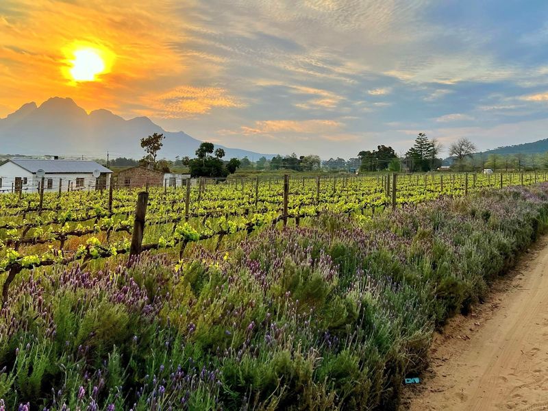 Prime Location With Exceptional Views “Franschhoek Valley” - Photo 10