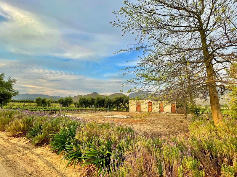 Prime Location With Exceptional Views “Franschhoek Valley” - Photo 7