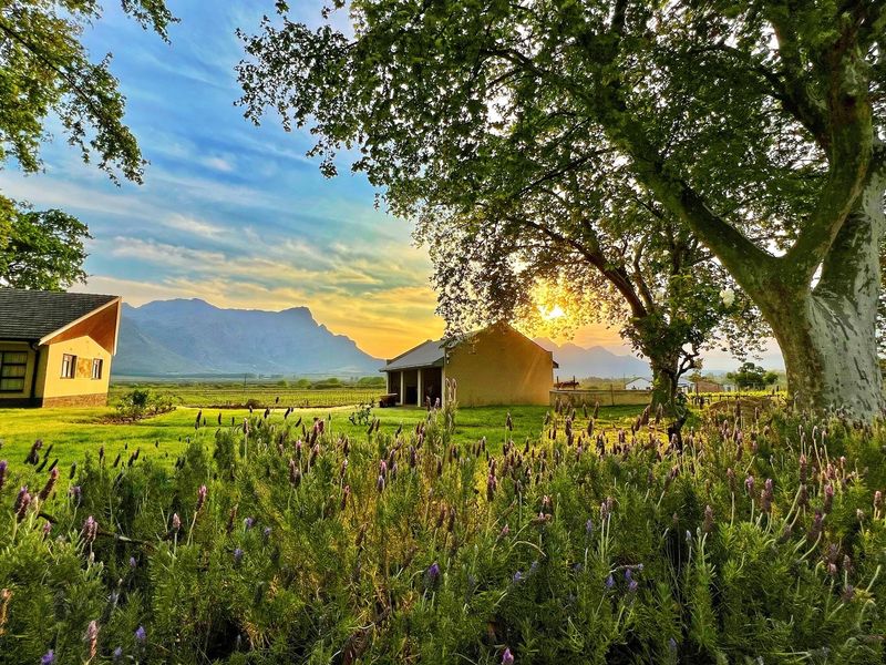 Prime Location With Exceptional Views “Franschhoek Valley” - Photo 4