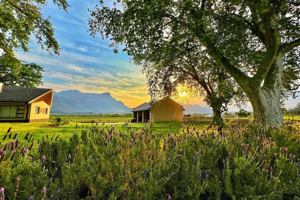 Prime Location With Exceptional Views “Franschhoek Valley” - Photo 4
