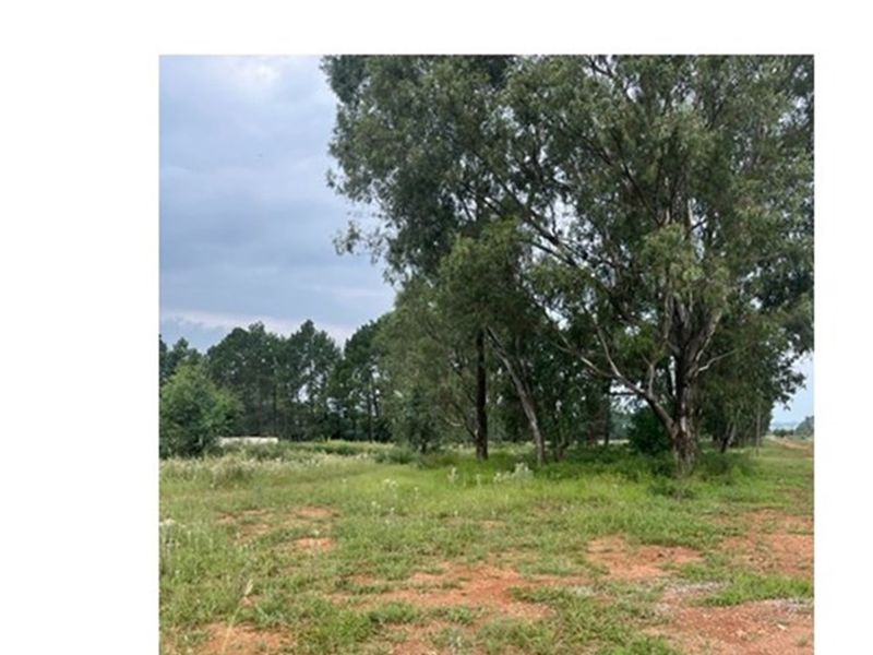 Large vacant corner stand - Photo 2